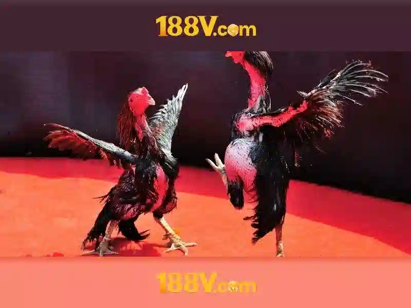 Các sản phẩm và dịch vụ cốt lõi: ứng dụng thực tế của 188v com tại app