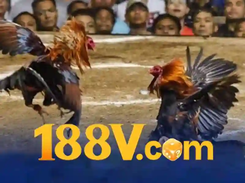 Theo dõi về xu hướng cá cược