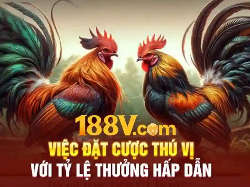 Hướng dẫn cách chơi xì dách chi tiết cho newbie