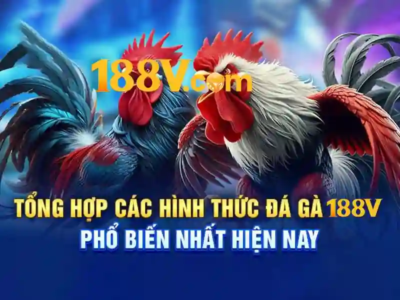 Giao diện nhà cái hoàn hảo