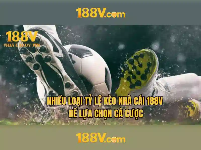 Giao diện nhà cái hoàn hảo