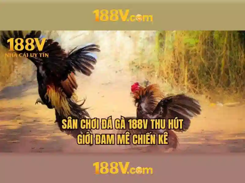 Nguồn gốc và ý nghĩa của 188V