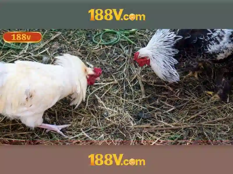 Kho lưu trữ và bí ẩn