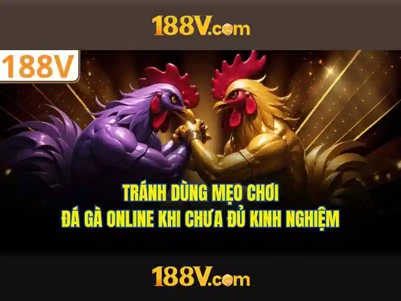 188V: Hiểu biết và ứng dụng của điện áp cao Giao diện nhà cái hoàn hảo