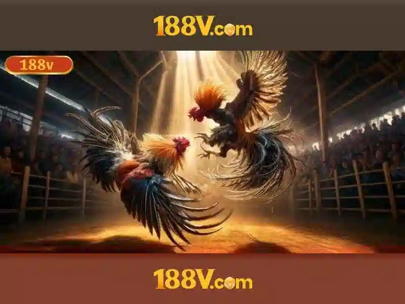 Giao diện nhà cái hoàn hảo