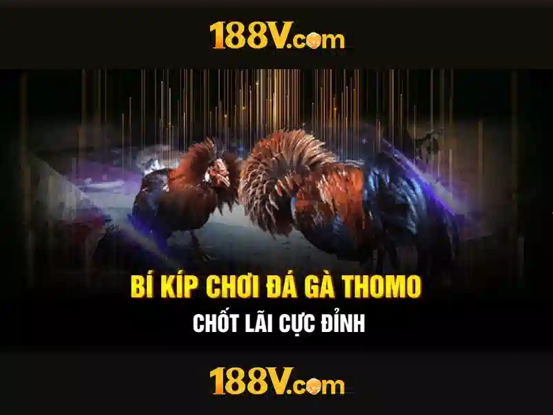 188v tai app - chu de tong quan va gia tri cot loi