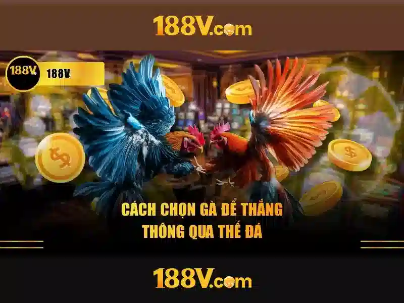 Hiệu suất và tiết kiệm năng lượng