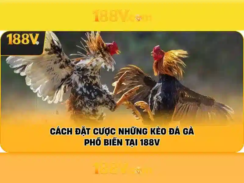 Giới thiệu về 188v
