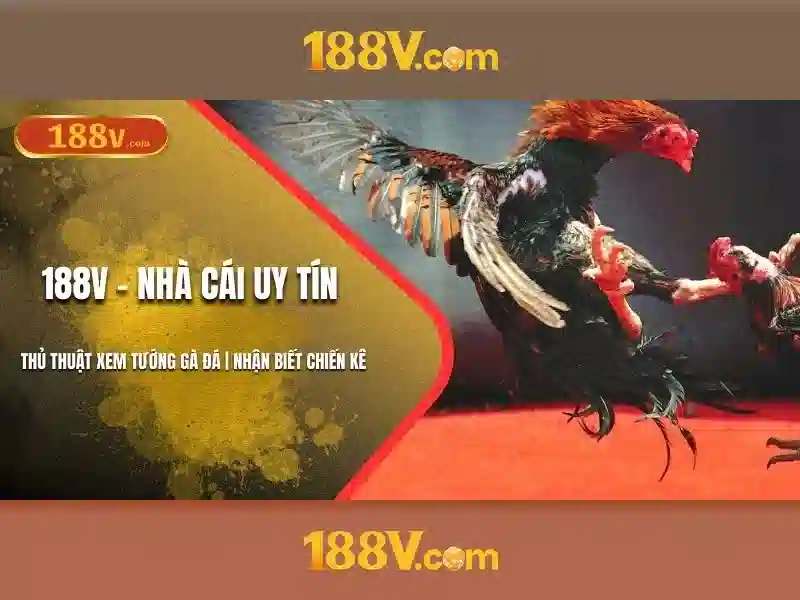 Khái niệm 188v