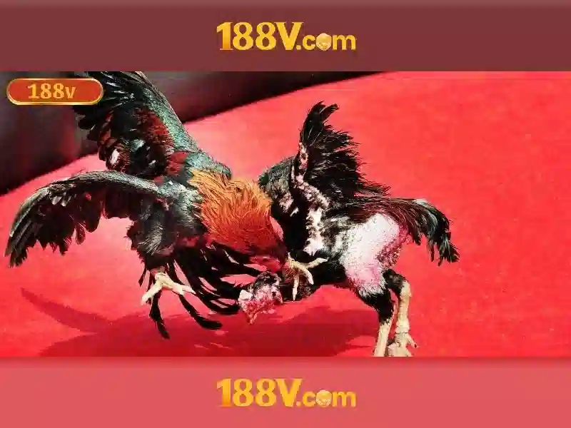 Nguồn gốc và ý nghĩa