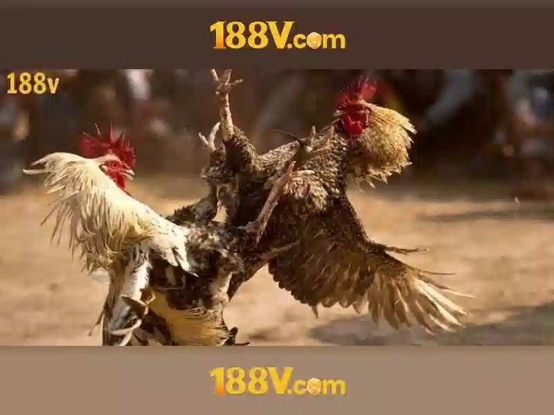 'Nguồn gốc và đo lường'
