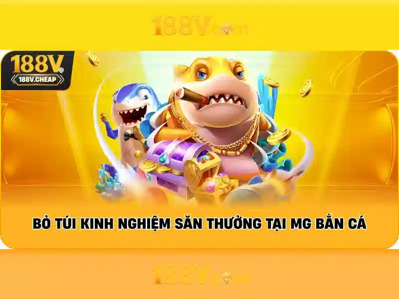 Kiểm tra và bảo trì