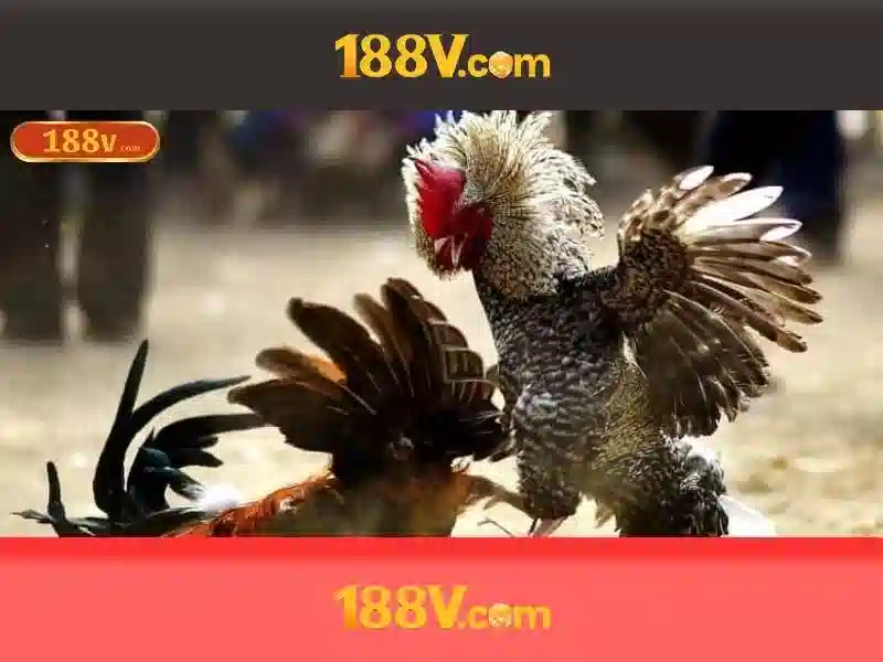 Giao diện nhà cái hoàn hảo