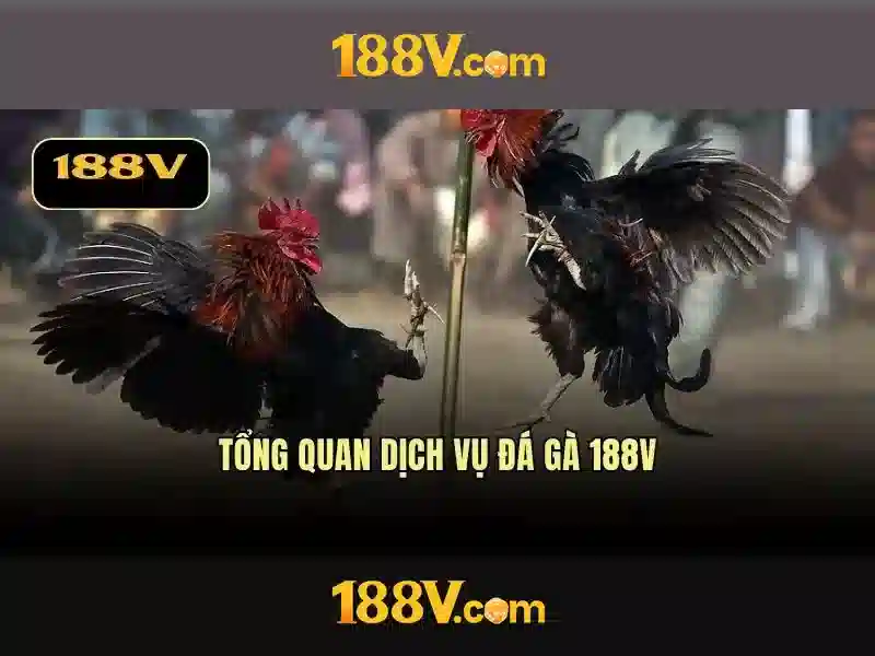 Triển vọng tương lai