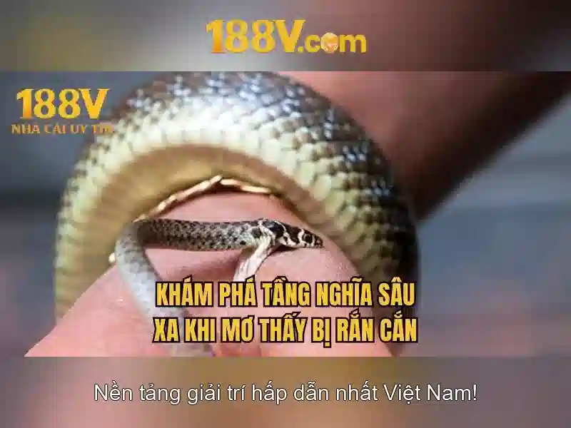 Giao diện nhà cái hoàn hảo