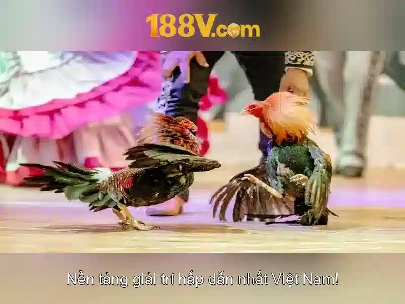 Khái niệm về 188v