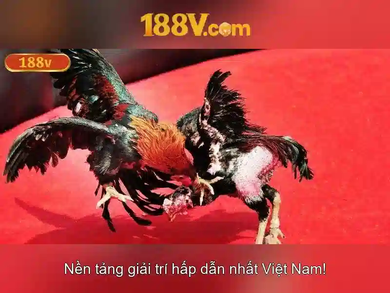 Định nghĩa 188V