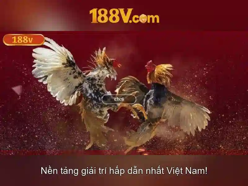 Giao diện nhà cái hoàn hảo