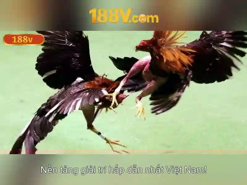 188V: Định nghĩa và nguồn gốc