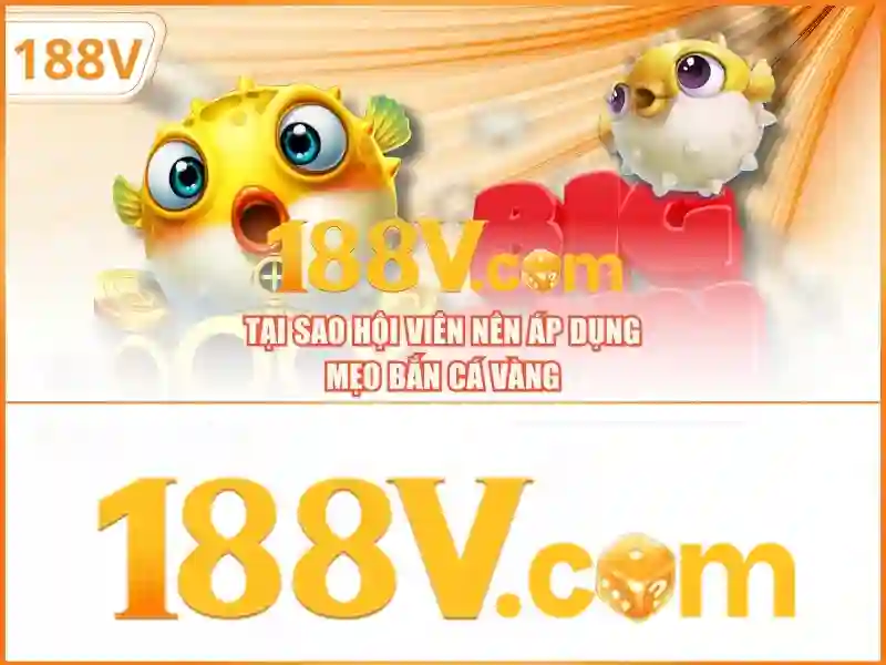 Giao diện nhà cái hoàn hảo