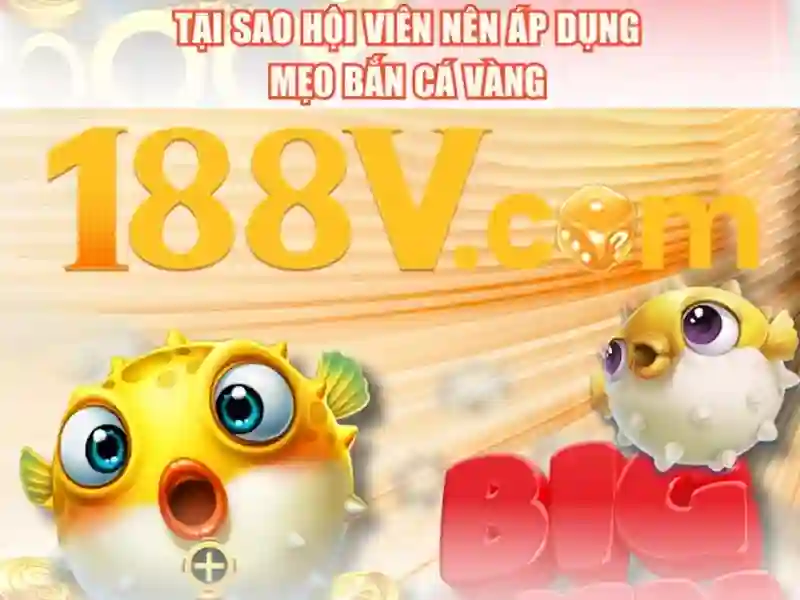 Khái niệm cơ bản